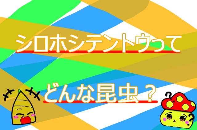 Thumbnail of post image 104